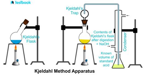 Kjeldahl method for nitrogen and protein .